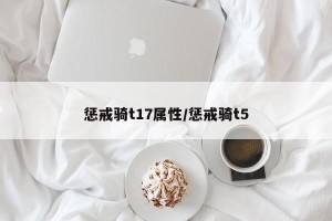 惩戒骑t17属性/惩戒骑t5