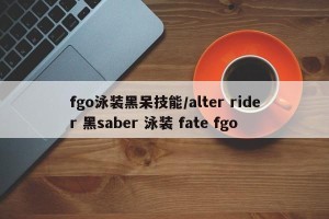 fgo泳装黑呆技能/alter rider 黑saber 泳装 fate fgo