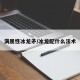 满属性冰龙矛/冰龙配什么法术