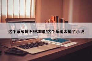 这个系统撩不得攻略/这个系统太棒了小说