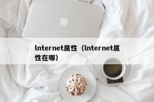 lnternet属性（lnternet属性在哪）