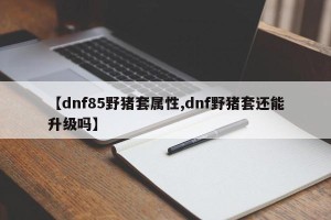 【dnf85野猪套属性,dnf野猪套还能升级吗】