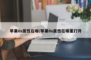 苹果6s属性在哪/苹果6s属性在哪里打开