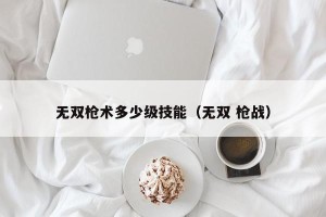 无双枪术多少级技能（无双 枪战）